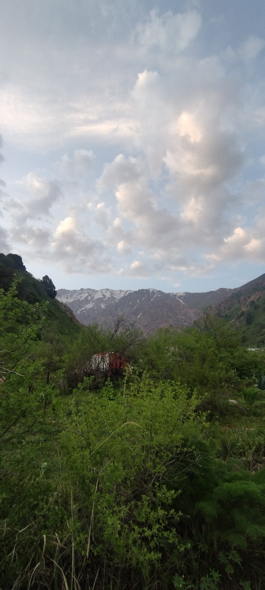 Прощальный взгляд