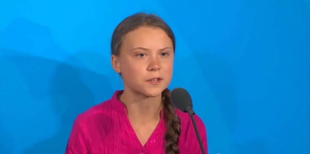    Грета Тунберг. Фото: скриншот из выступления на заседании OOH.
