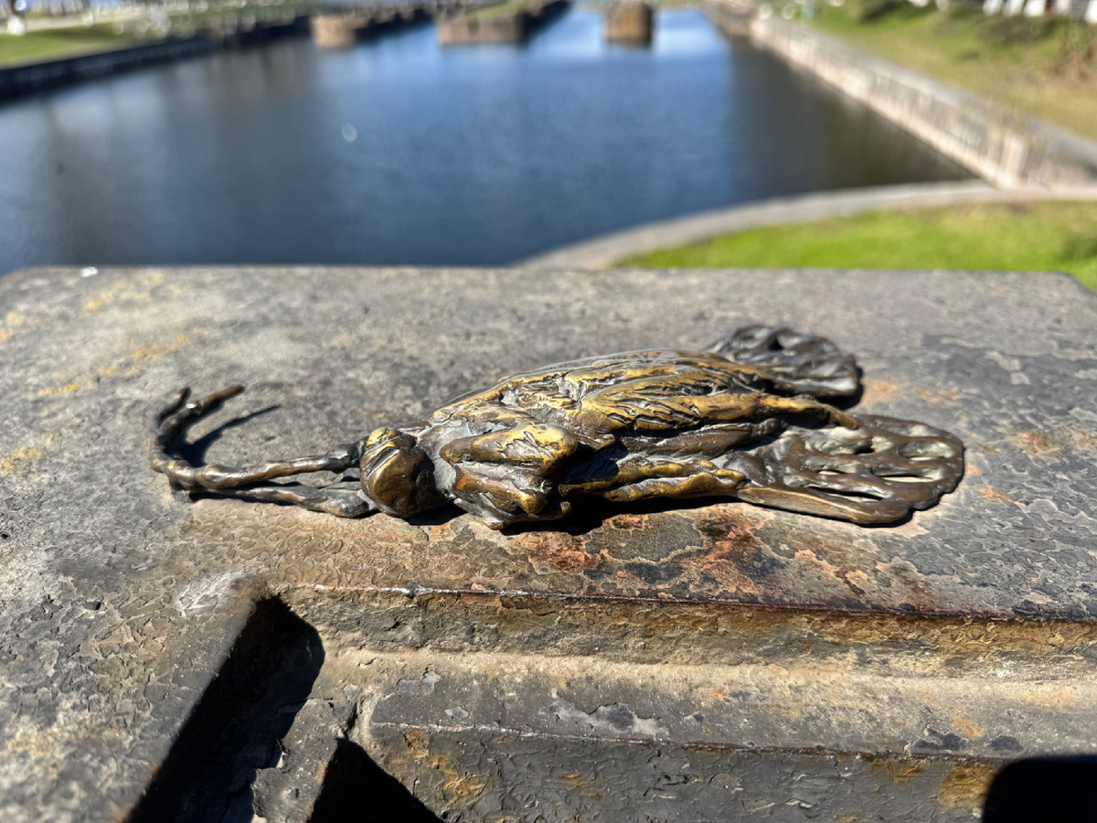 Шлиссельбург памятник шведу