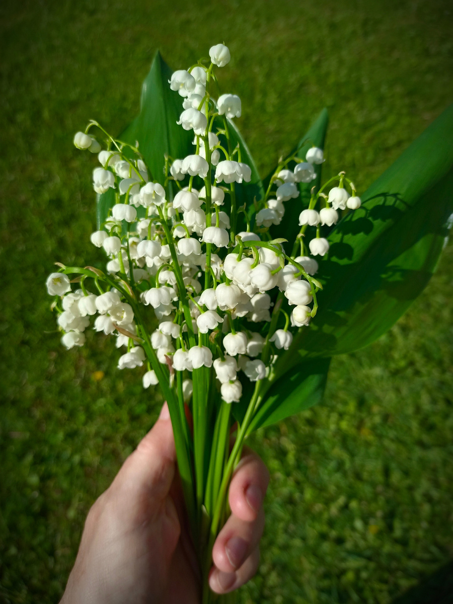 Светлого июня привет 😊