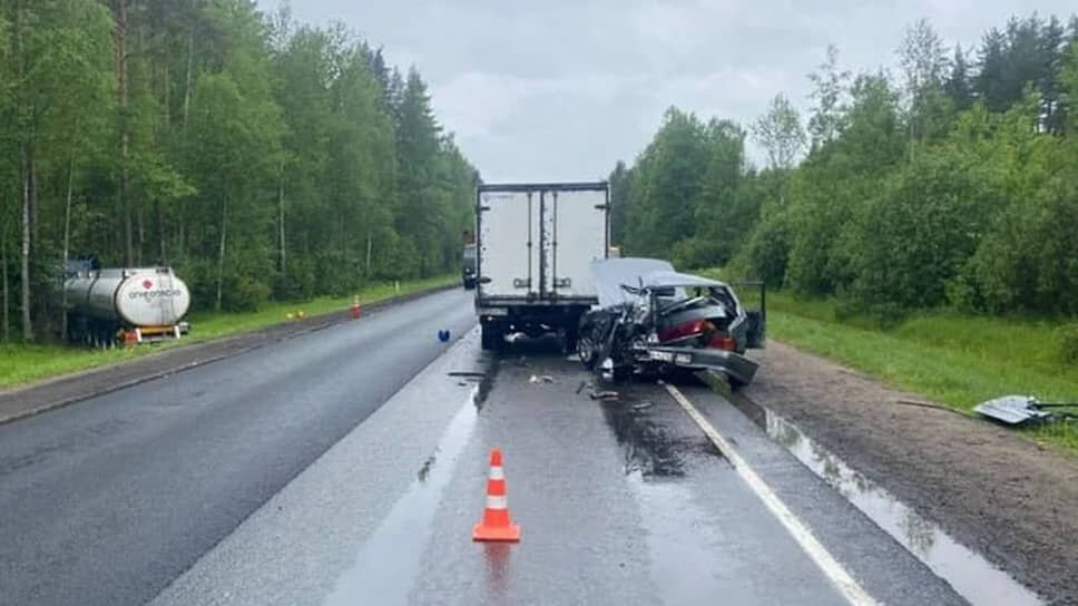 Фото: ГУ МВД по Петербургу и Ленобласти