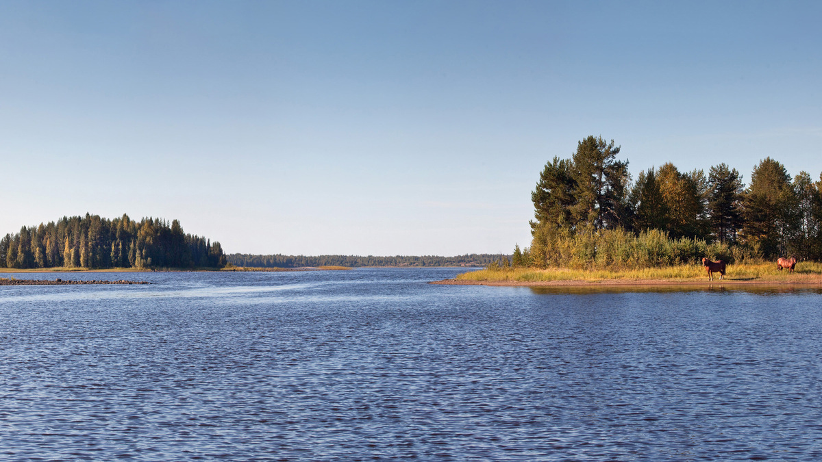В центральной части парка расположено Водлозеро — один из крупнейших водоёмов южной Карелии. Обширную территорию площадью 468 000 гектаров связывает река Илекса — главная артерия для сплавов. Фото: Игорь Георгиевский / Wikimedia