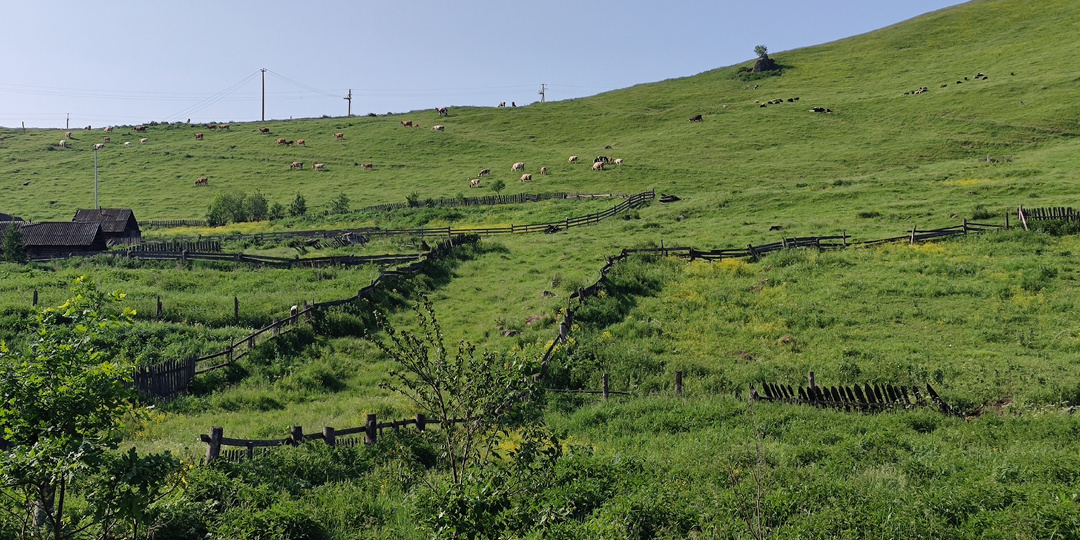 Почему в этому году в деревнях резко перестали сажать огороды: заехал узнать у местных что такое?