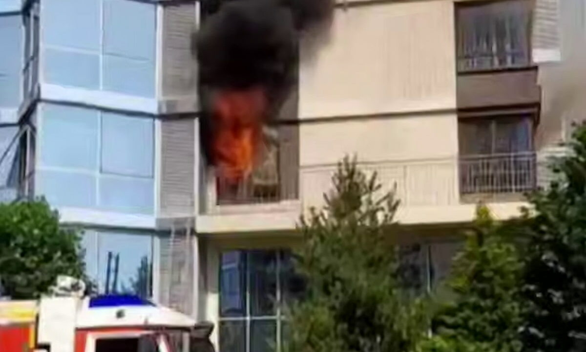    Фото t.me/tipichkras