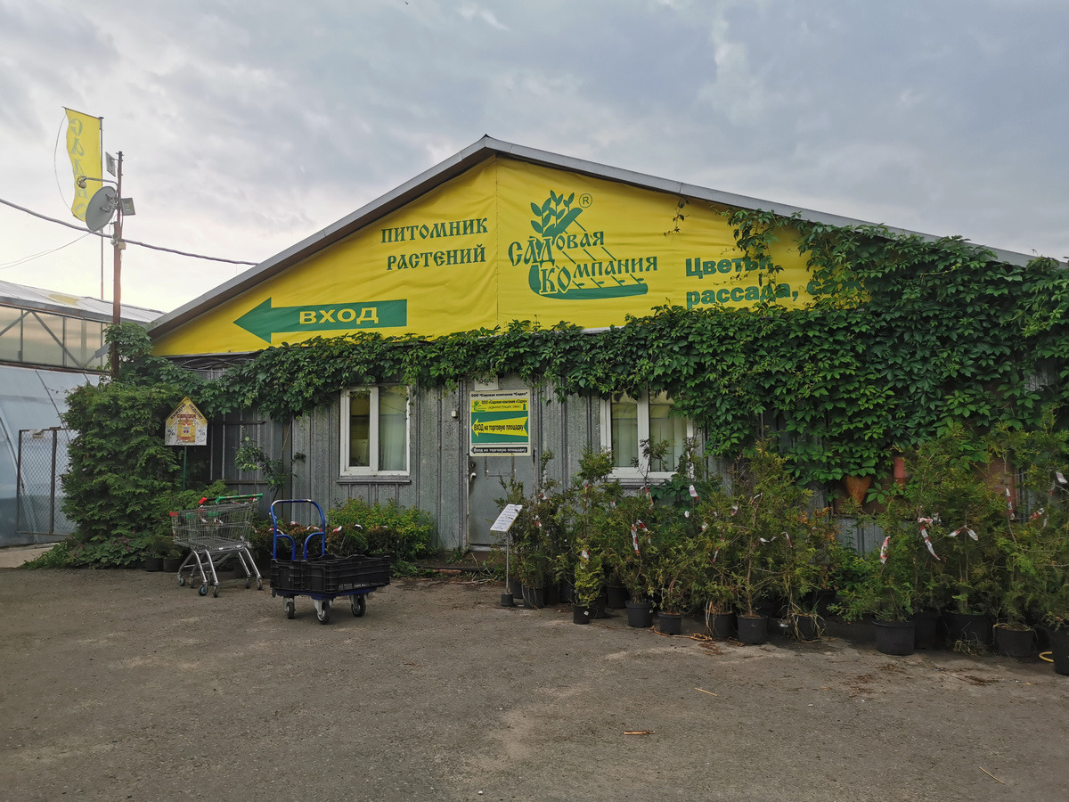 Самая старая площадка в Тарасовке, 2025