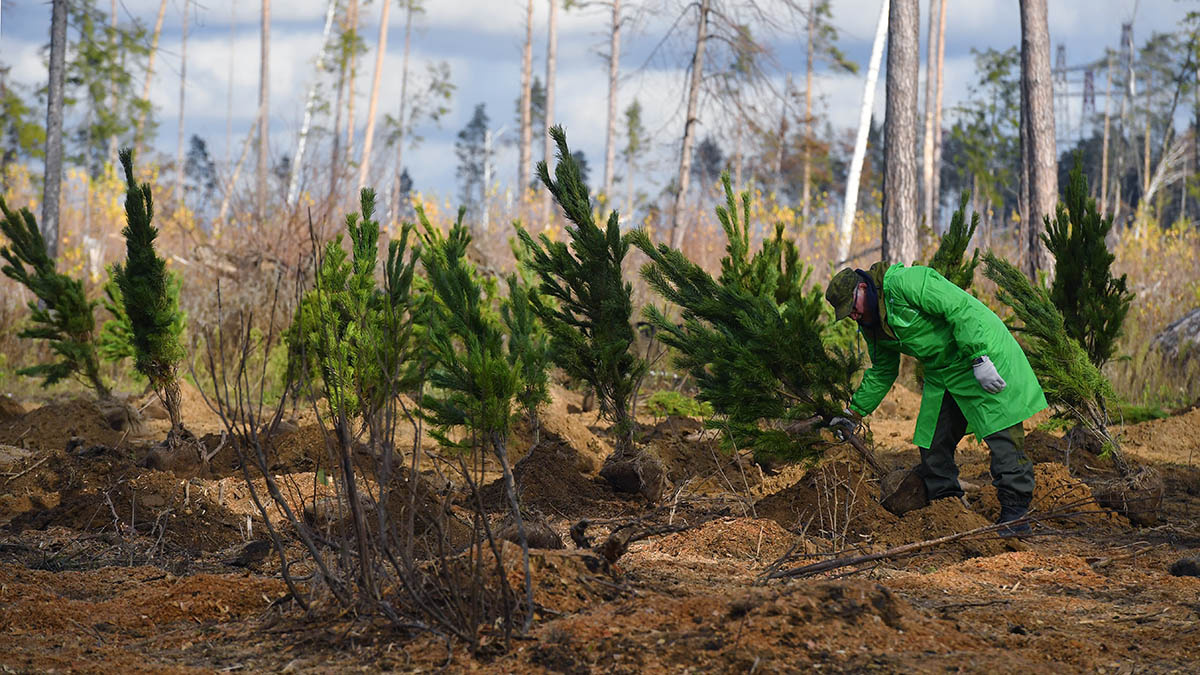 © Михаил Воскресенский/РИА Новости