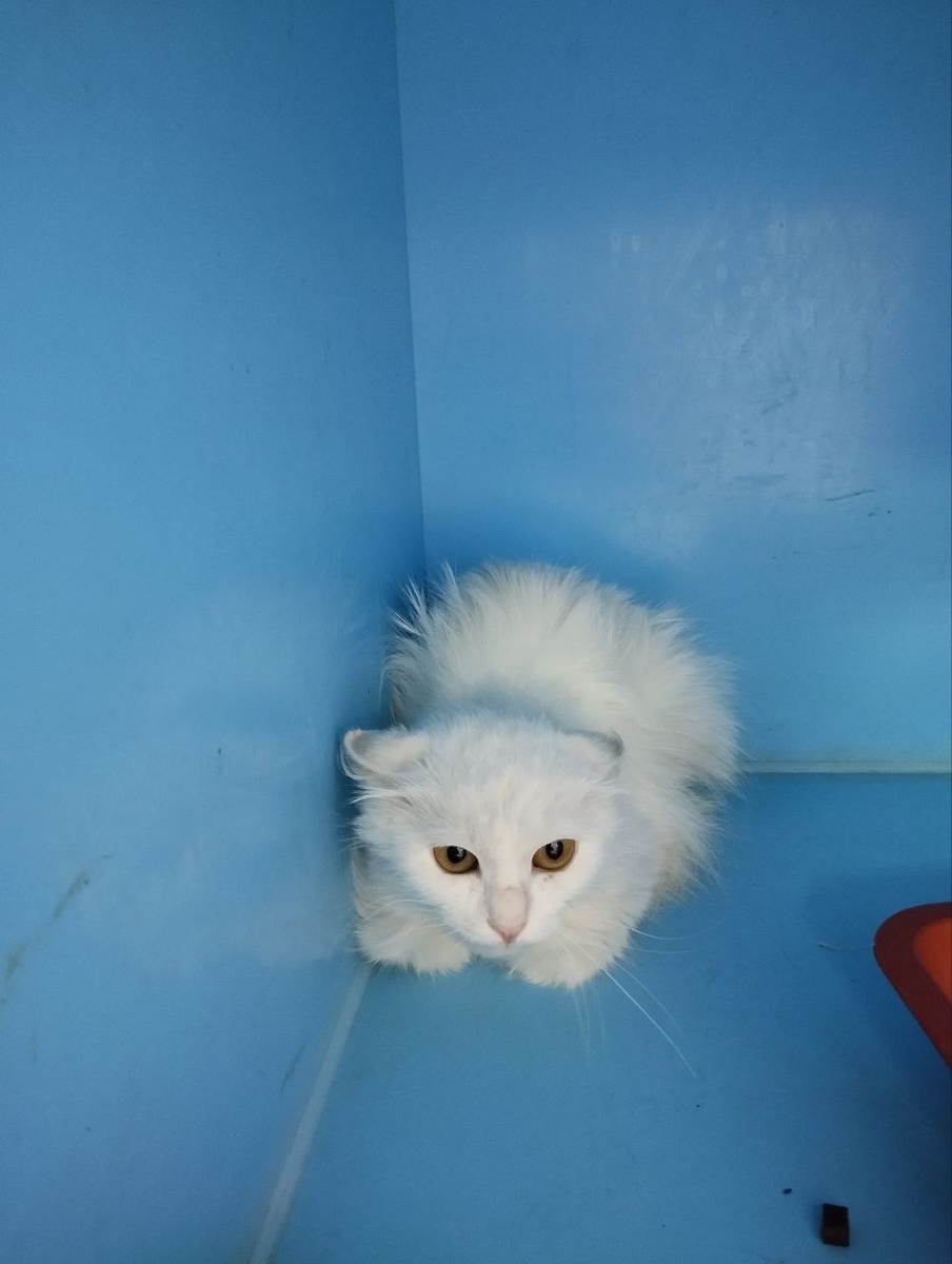 Ещё в Зооцентре