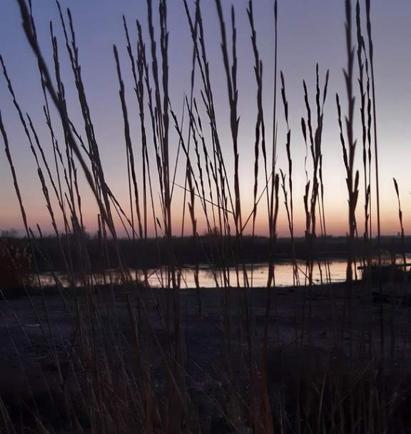    фото: Сергей Тарасенко "Веселовские вести" Веселовские вести