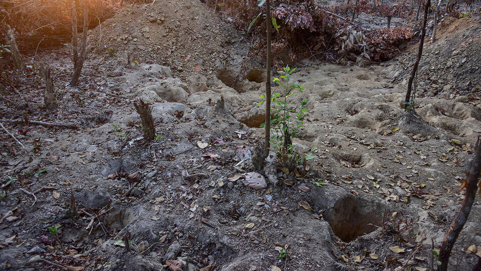 Фото: © Пресс-служба Минобороны РФ/ТАСС