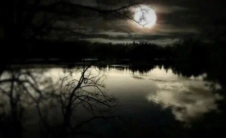 Картинка из общего доступа