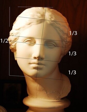 основные пропорции головы человека