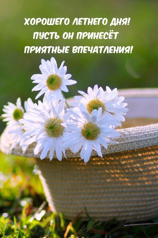 Из интернета для хорошего настроения 💖