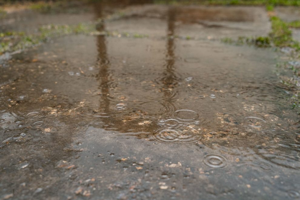 Фото: Максим Школьников/РИА Верхневолжье

