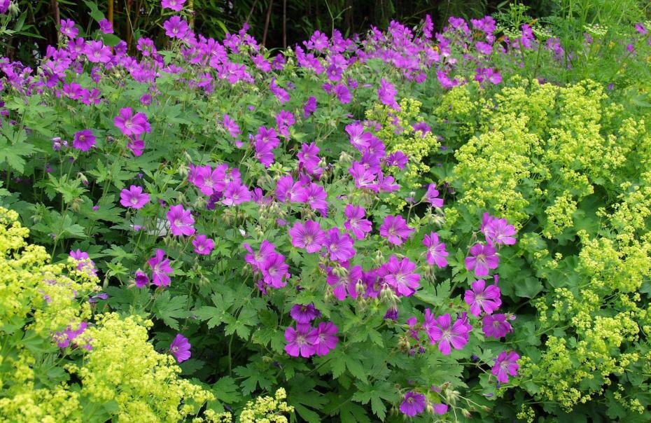    McPHOTO/H.R.Mueller via www.im/Global Look Press