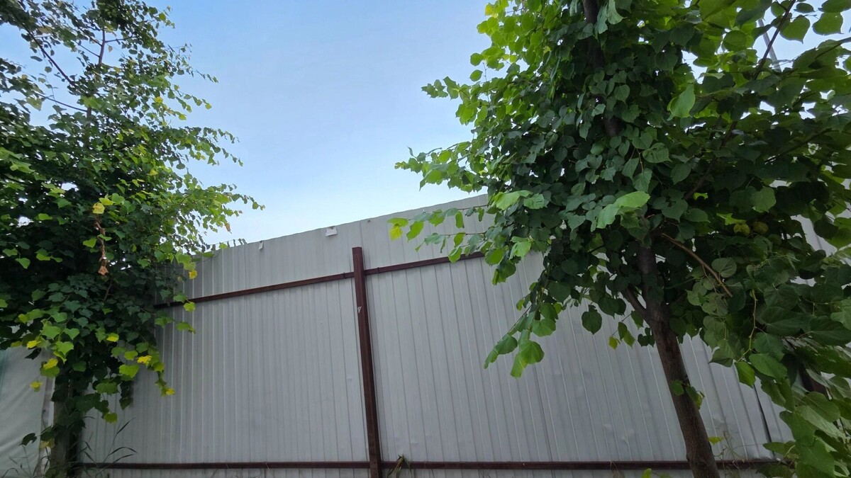     Автор: KubanPress