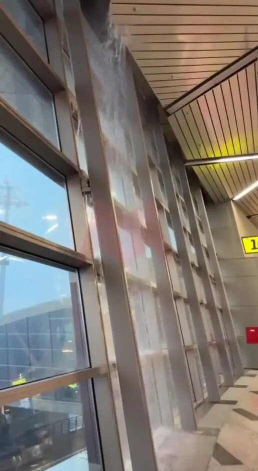    Фото: скриншот из видео в соцсетях.