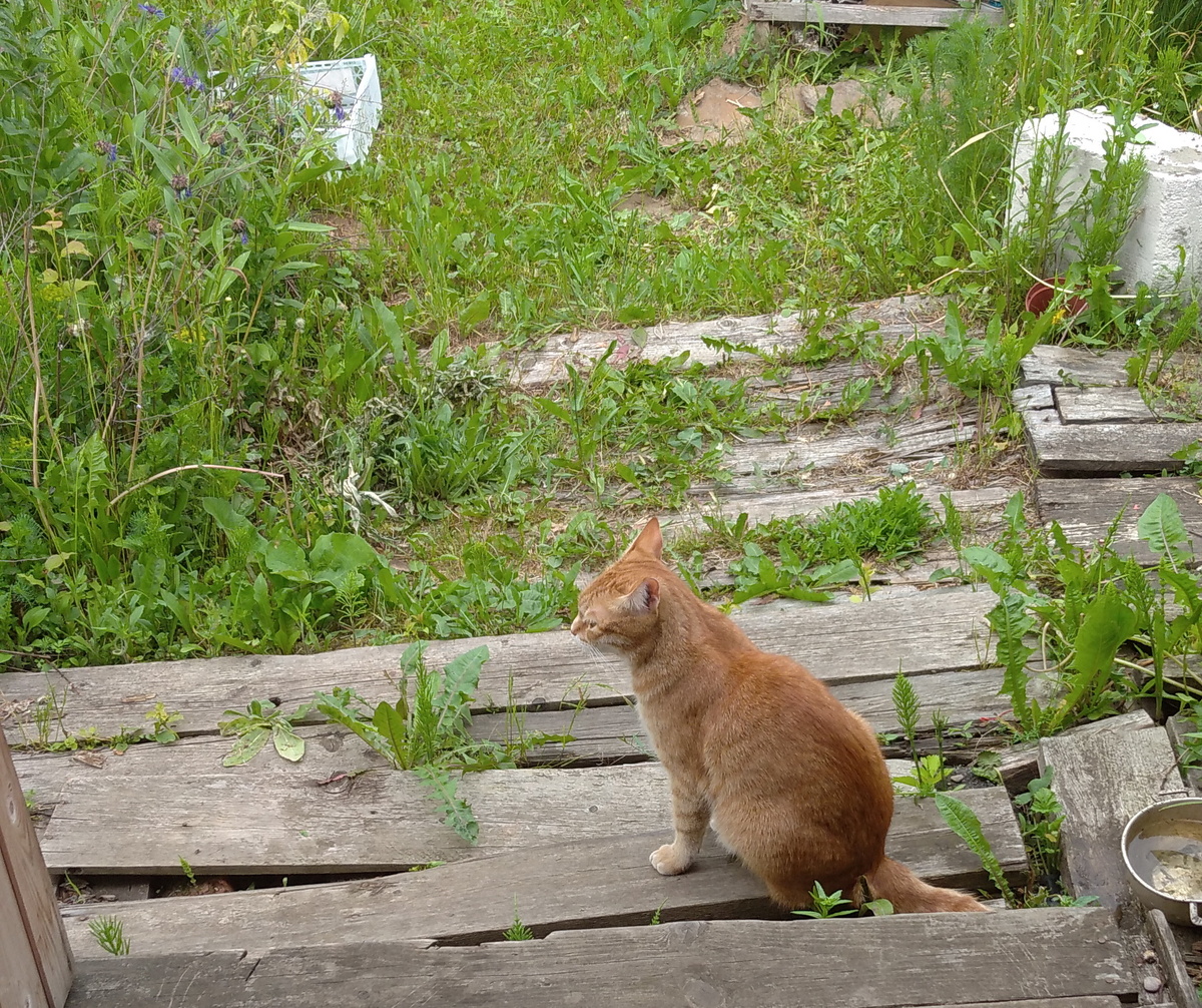 Личное фото