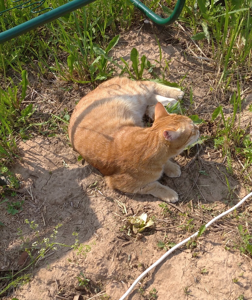 Личное фото.