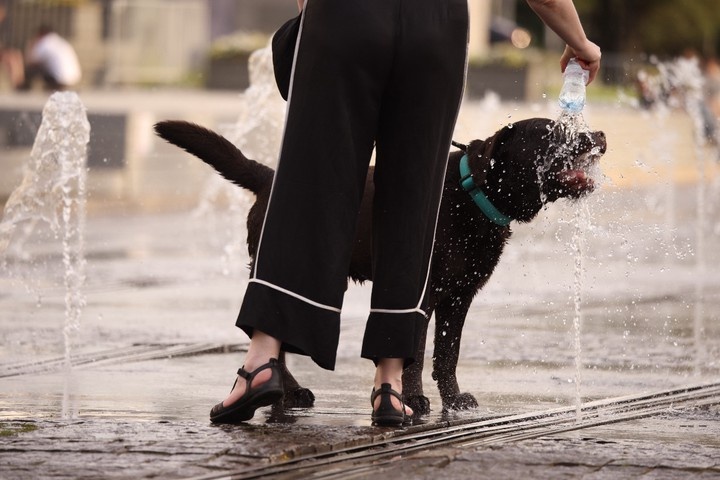  Фото © Анастасия Романова / Абзац