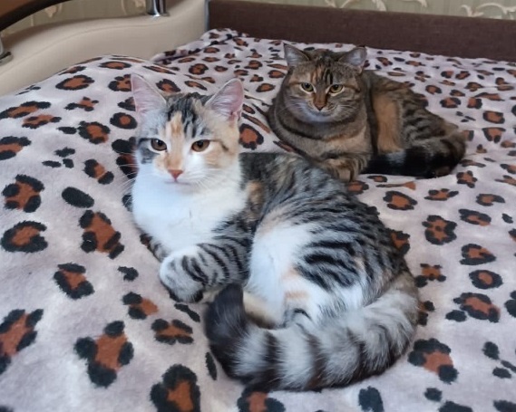 Сашенька со своей приемной мамой - кошечкой-инвалидом Заечкой