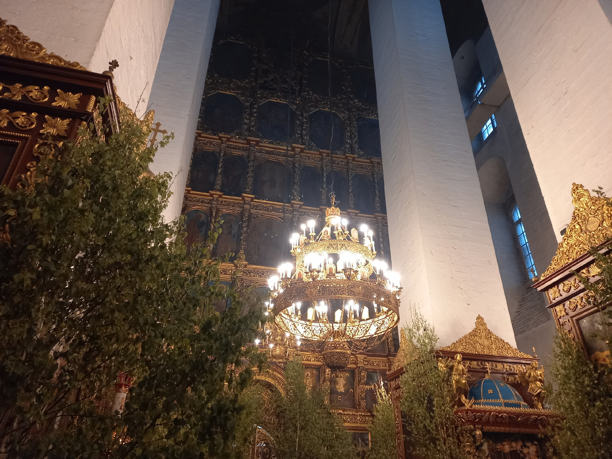 берёзки в соборе