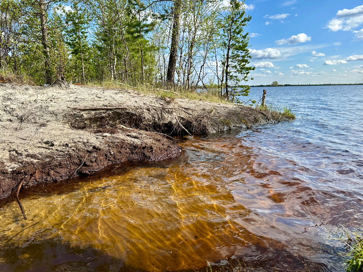 Озеро на Ямале.