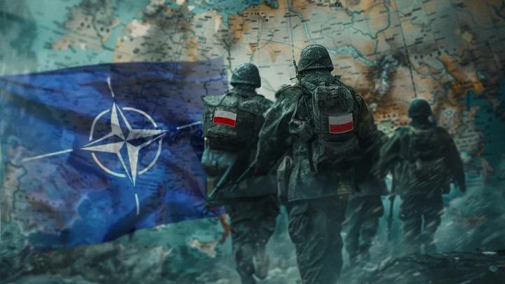 Поляки развернули войсковую операцию? Дивизии встали у границы Беларуси, идёт переброска авиации, возле Калининграда волнения