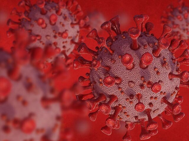    Фото: depositphotos/franckito