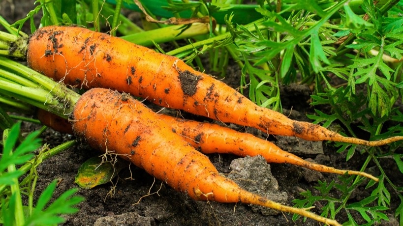 Результат превзошел все ожидания