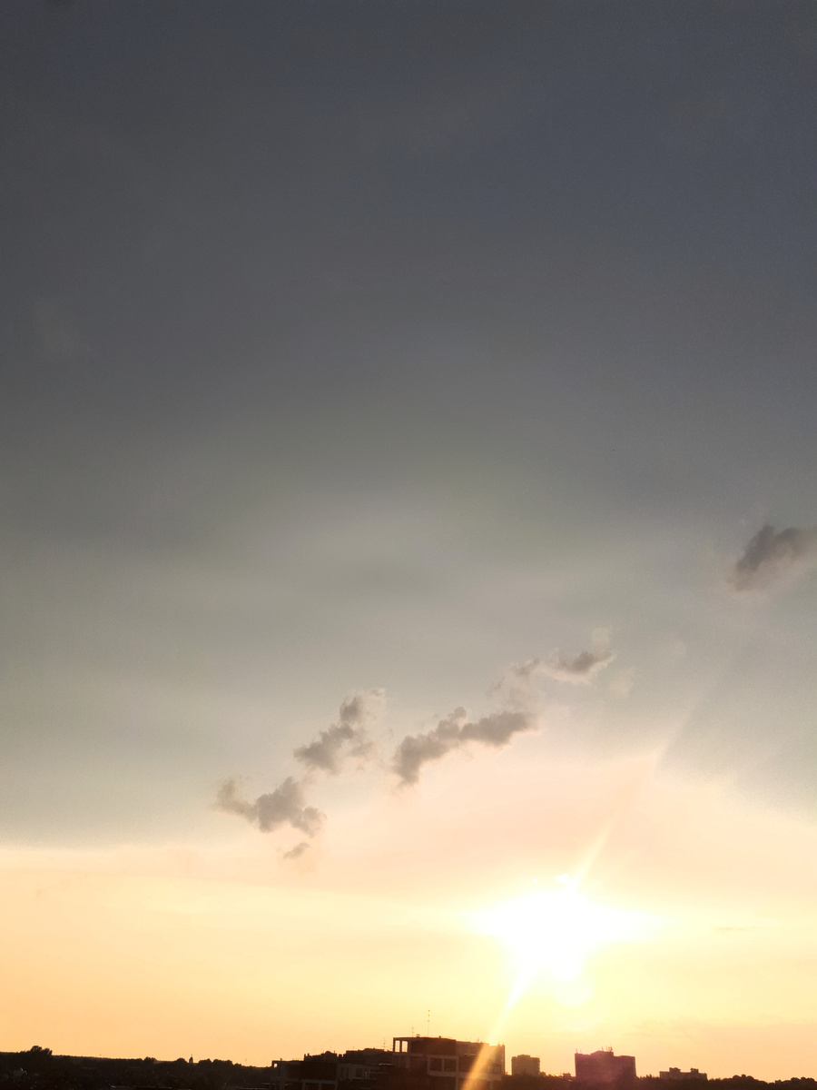 Фото автора статьи 08.06.2025г.