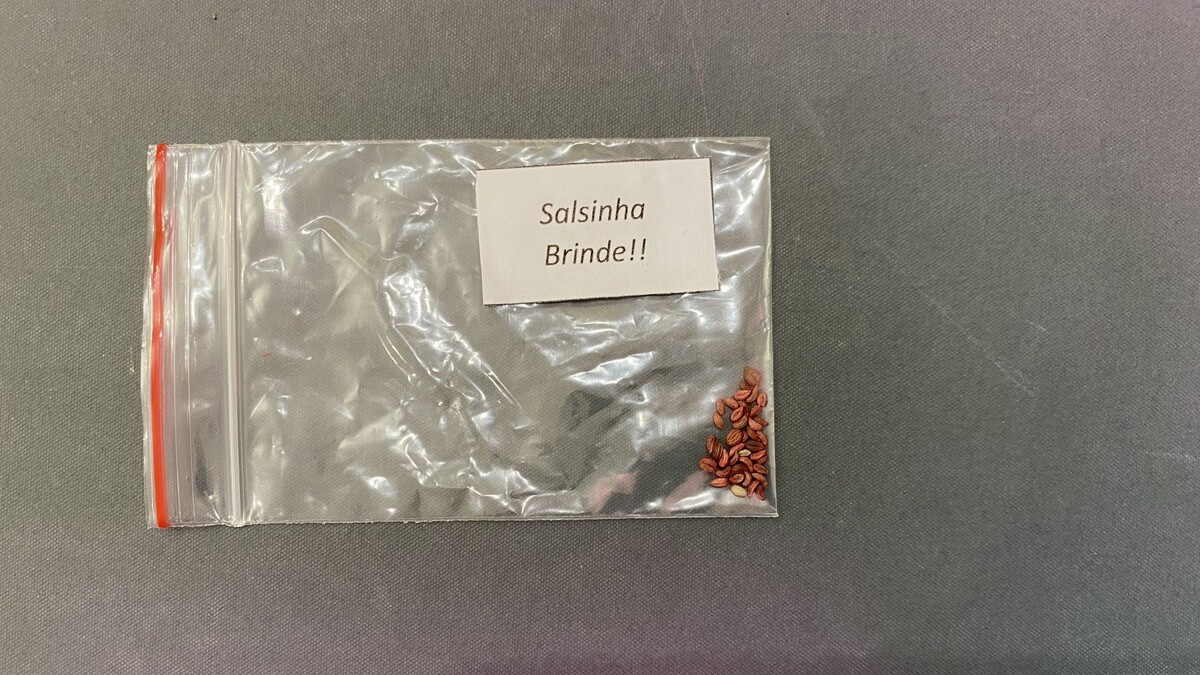 Спутник сборной