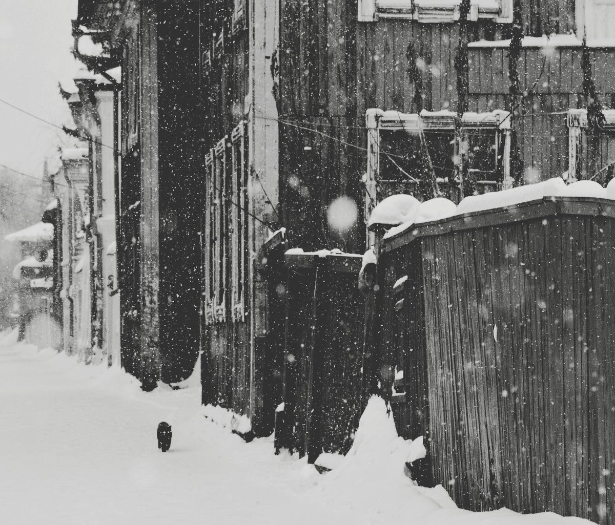 фото Надежды Павлючковой-Кочневой