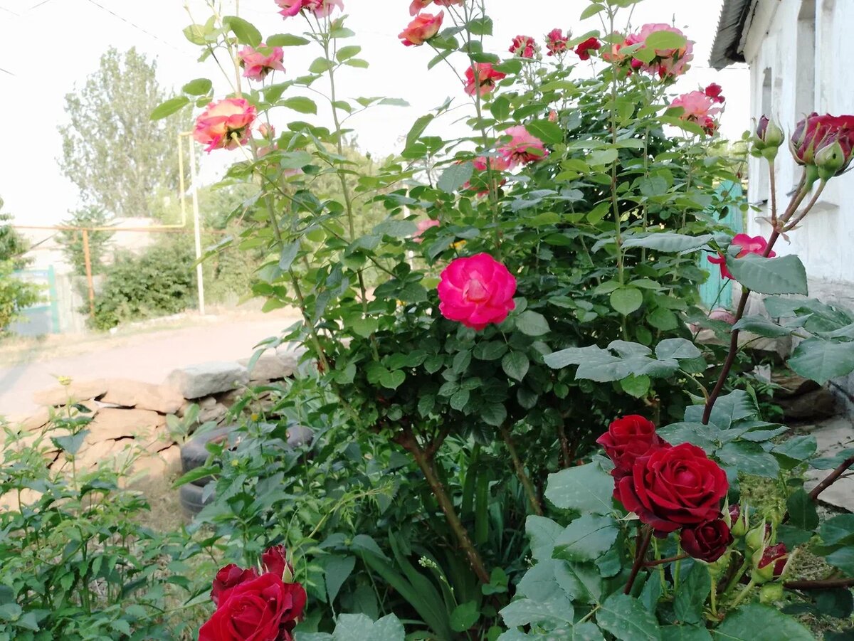 Видна часть одинокого дома.