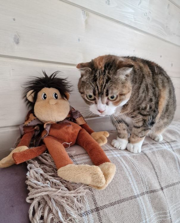 Маня 12 лет. Фото из личного архива. 