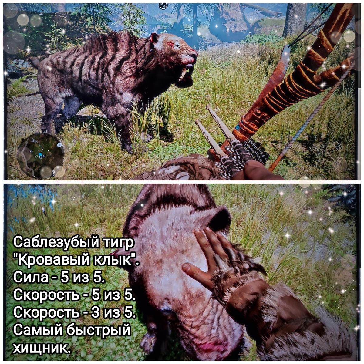 На фото обработанные мной скрины из игры "Far Cry Primal", 2015г., художественные руководители Жан-Кристоф Гюйо, Максим Бэлан, продюсер Винсент Понтбрианд, геймдизайнер Томас Саймон, разработчик Ubisoft Montreal. Скрины собраны в коллаж, который демонстрирует визуальный фон игры, а так же приручённого тигра "Кровавый клык", его внешний вид, для оценки плюсов игры в этом направлении. Подробнее об игре рассказано ниже в статье. Все материалы размещены исключительно в информационных целях.