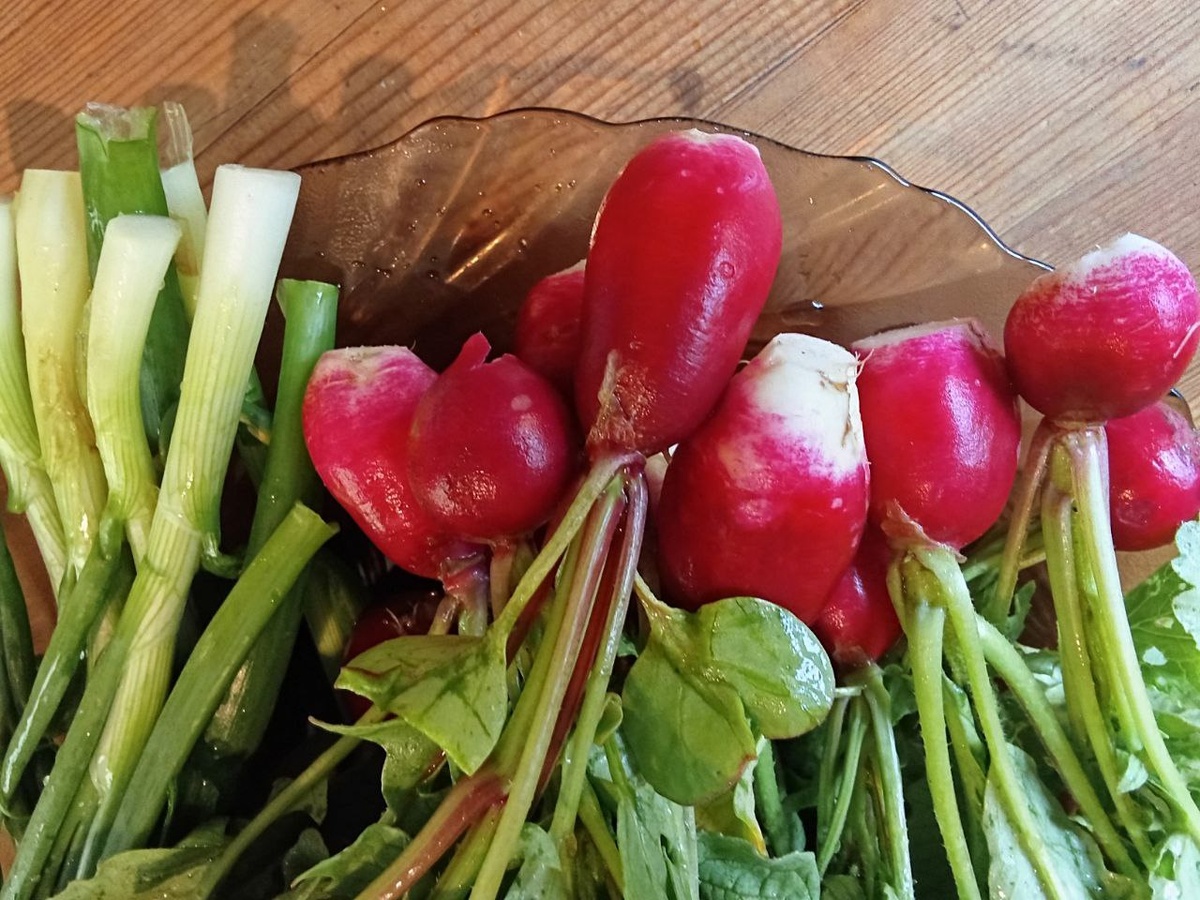 Продукты с отрицательной калорийностью