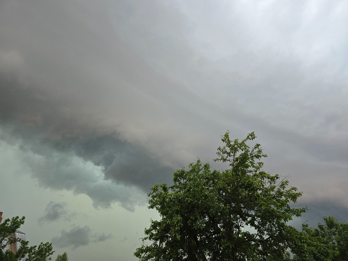 В ожидании дождя