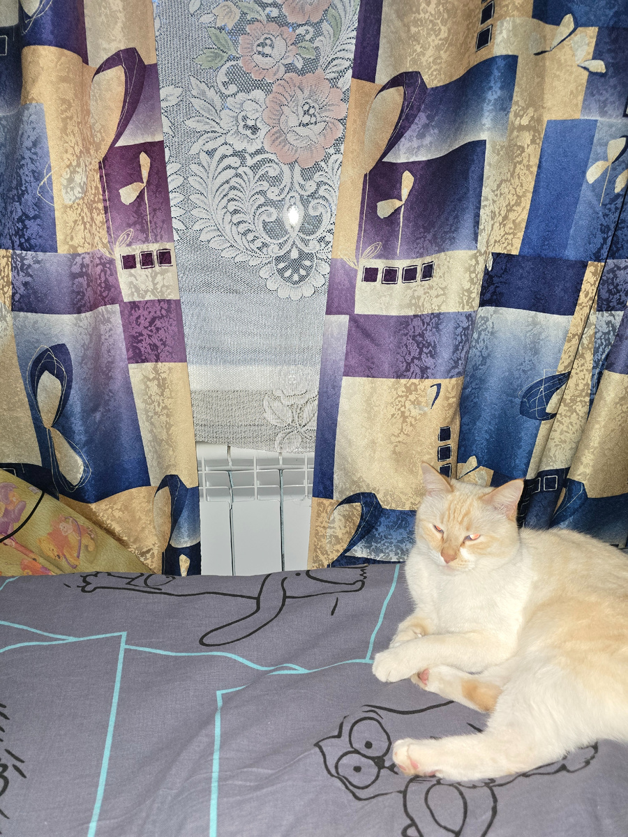 Это мы с котиком у окошка. 