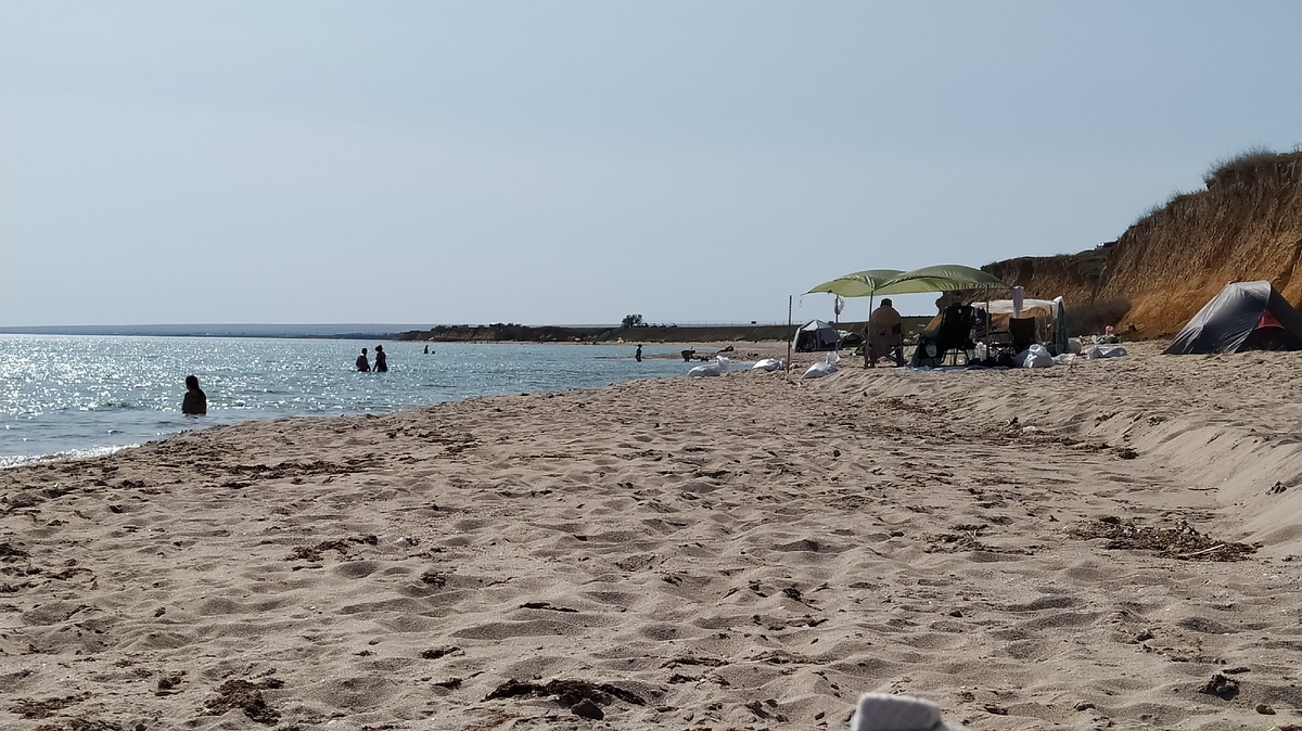 Воскресный день.