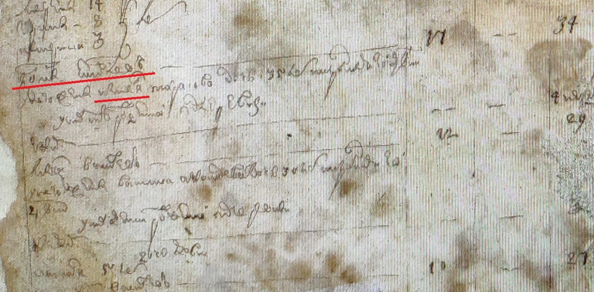 Семья Кузьмы Яковлева в ревизии 1763 года: РГАДА ф.350 оп.2, д.143, л.201об. Грибок, угасающий текст.