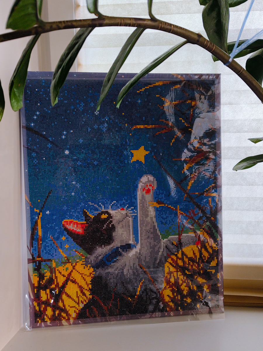 Кошка с картины похожа на нашу. Алмазная картина. Фото автора