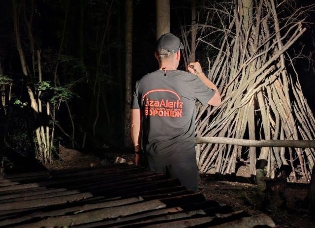     Поиски вели активисты отряда "Лиза Алерт"