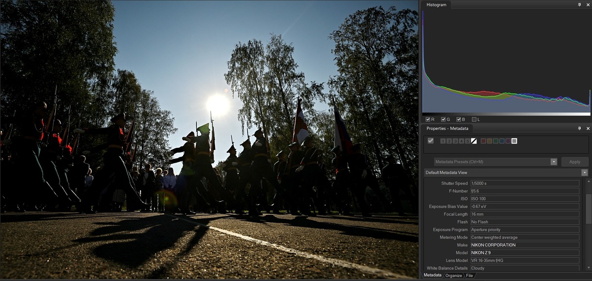 Пример фотографии, в которой сбалансировать свет и тень без потерь было нереально, но я просто использовал это и снимал силуэты в проеме между деревьями