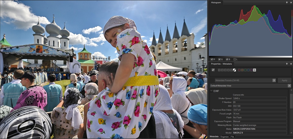 На этой фотографии слегка "выбиты" света. Тени были в пределах нормы, но я их немного "подтянул" в редакторе.