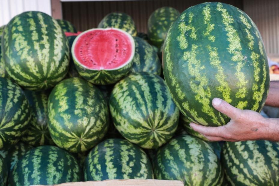    Сергей Булкин/NEWS.ru