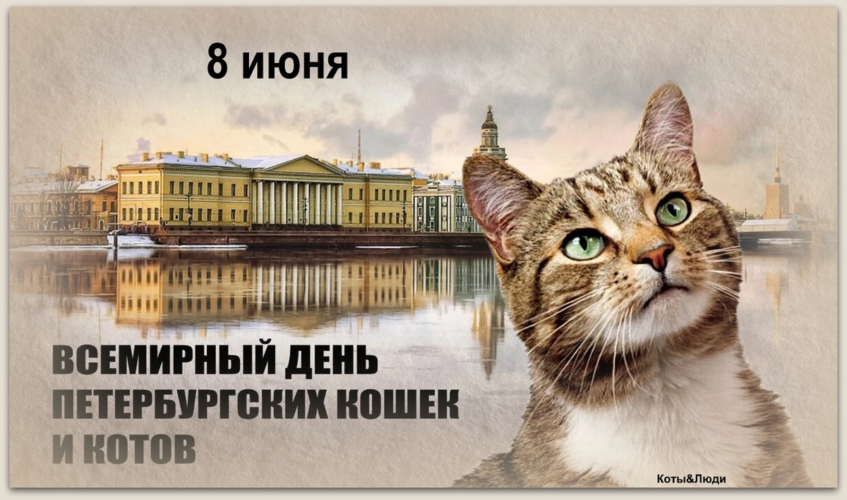 Всемирный день петербургских кошек. Иллюстрация: «Курьер.Среда»