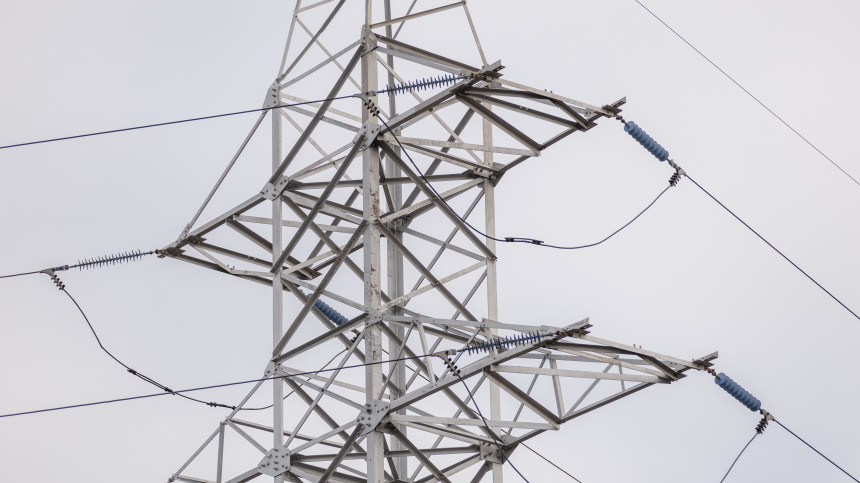    Фото: © РИА Новости/Артем Кулекин