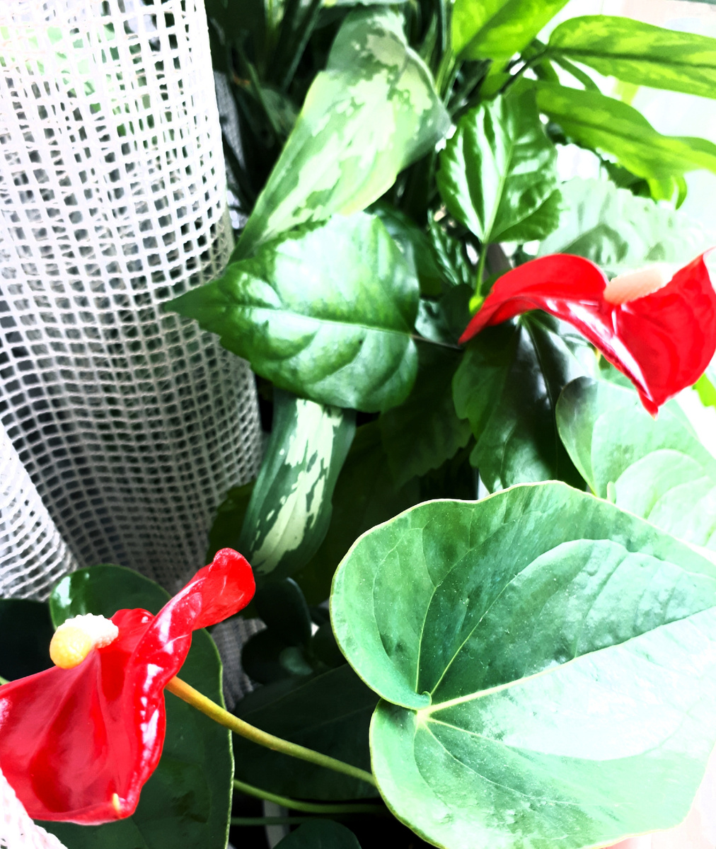 Фото автора статьи. 08.06.2025г.