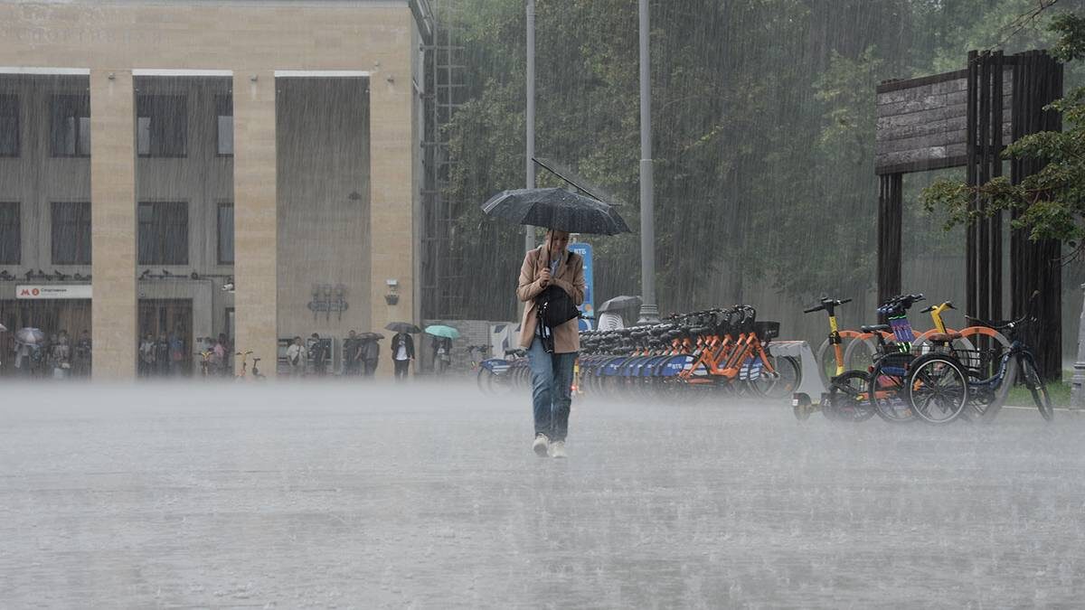    Фото: Пелагия Замятина / Вечерняя Москва