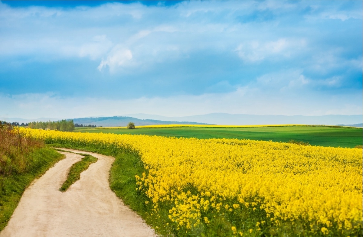 Фото с простор интернета 